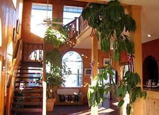 Swiss Chalet Inn رويدوسو، نيومكسيكو المظهر الخارجي الصورة